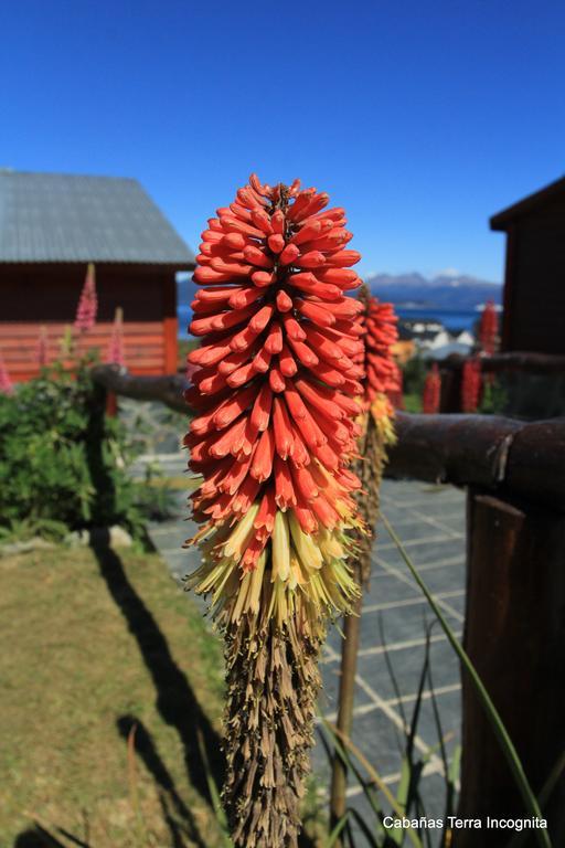 Terra Incognita Villa Ushuaia Eksteriør billede