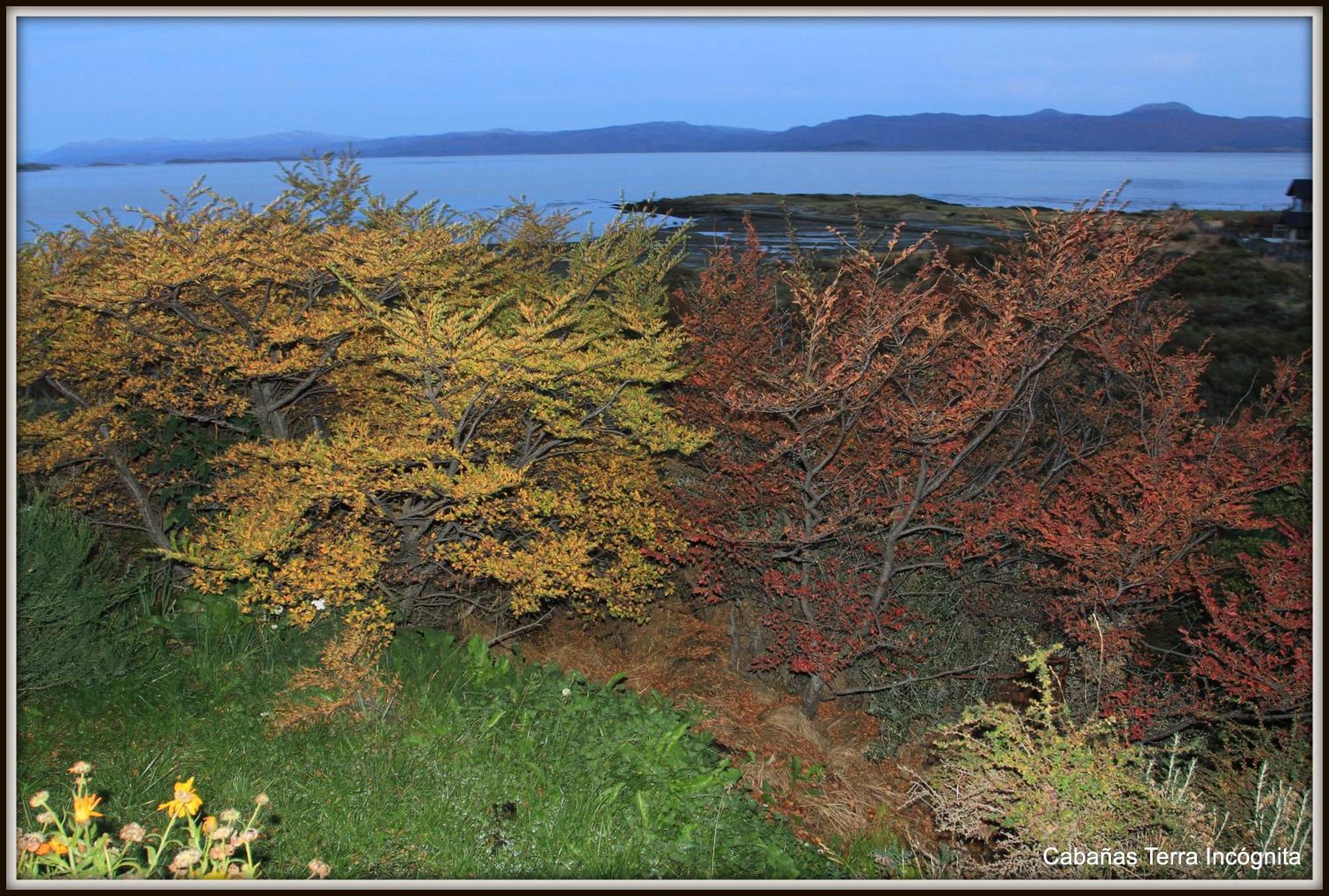 Terra Incognita Villa Ushuaia Værelse billede