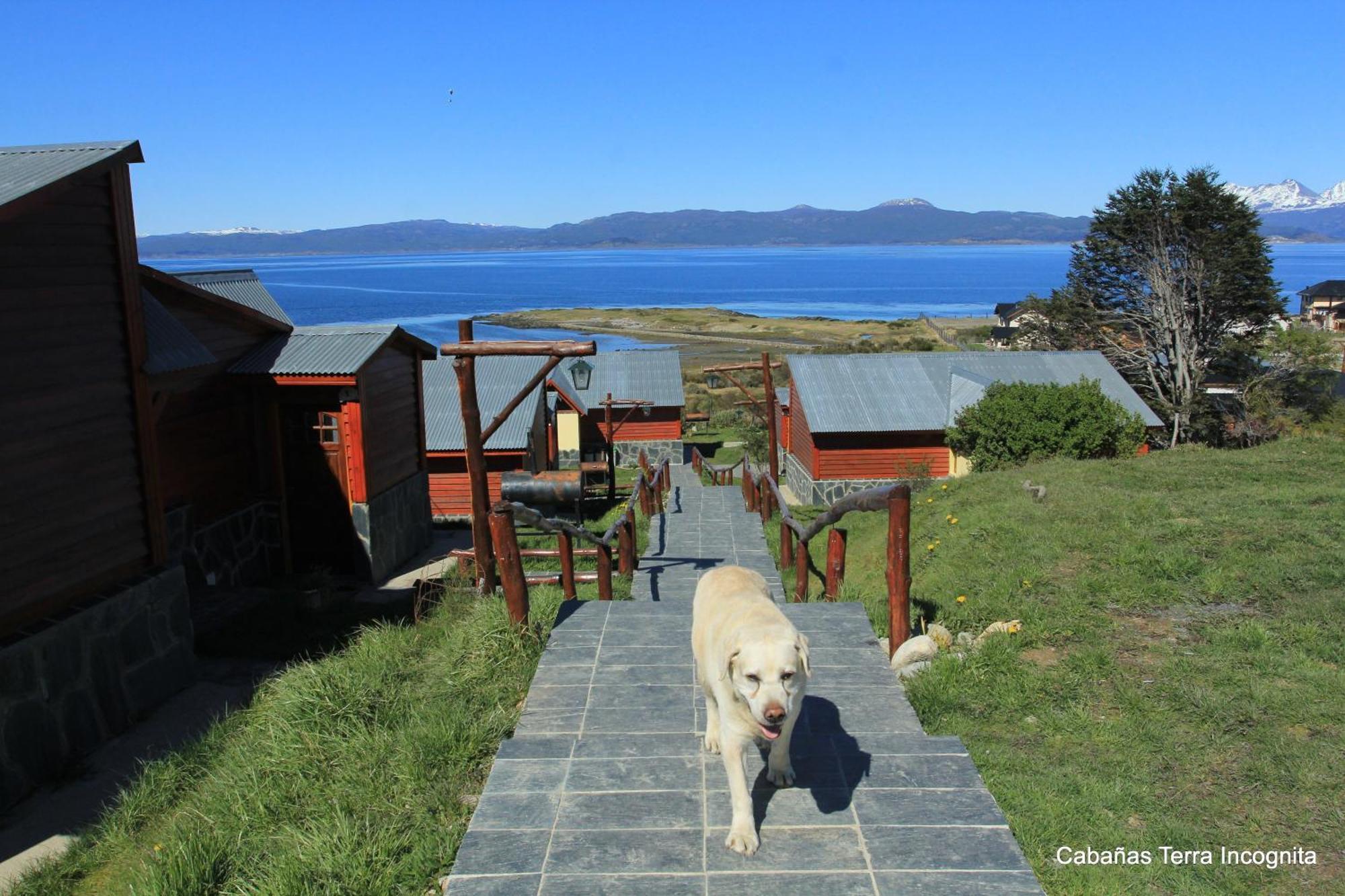 Terra Incognita Villa Ushuaia Værelse billede